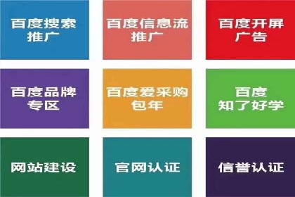 抖音信息流广告的投放策略与成功案例分析